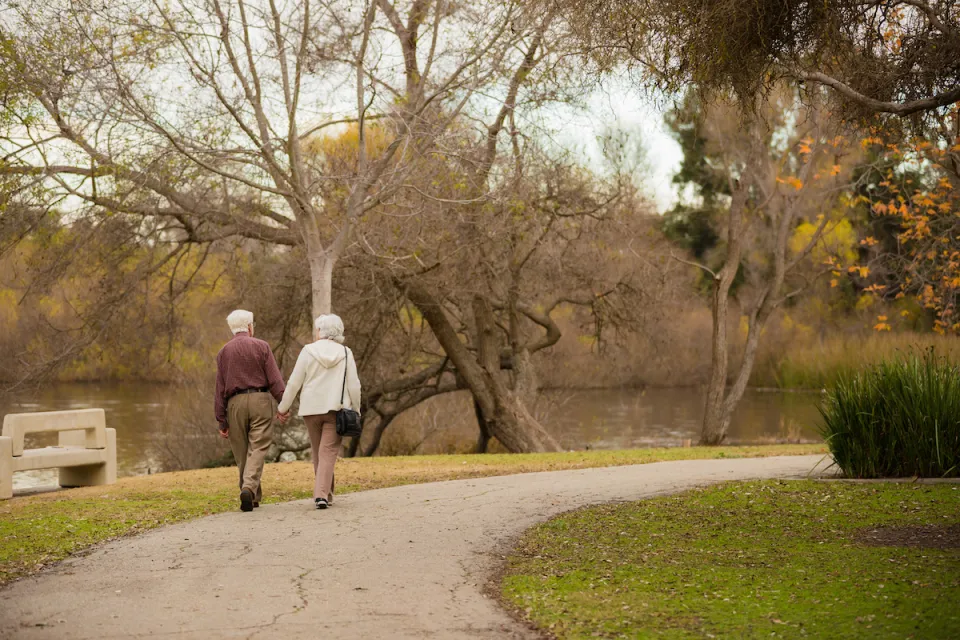 View from back of elderly man and woman holding hands and walking on a path in a park with fall colors.